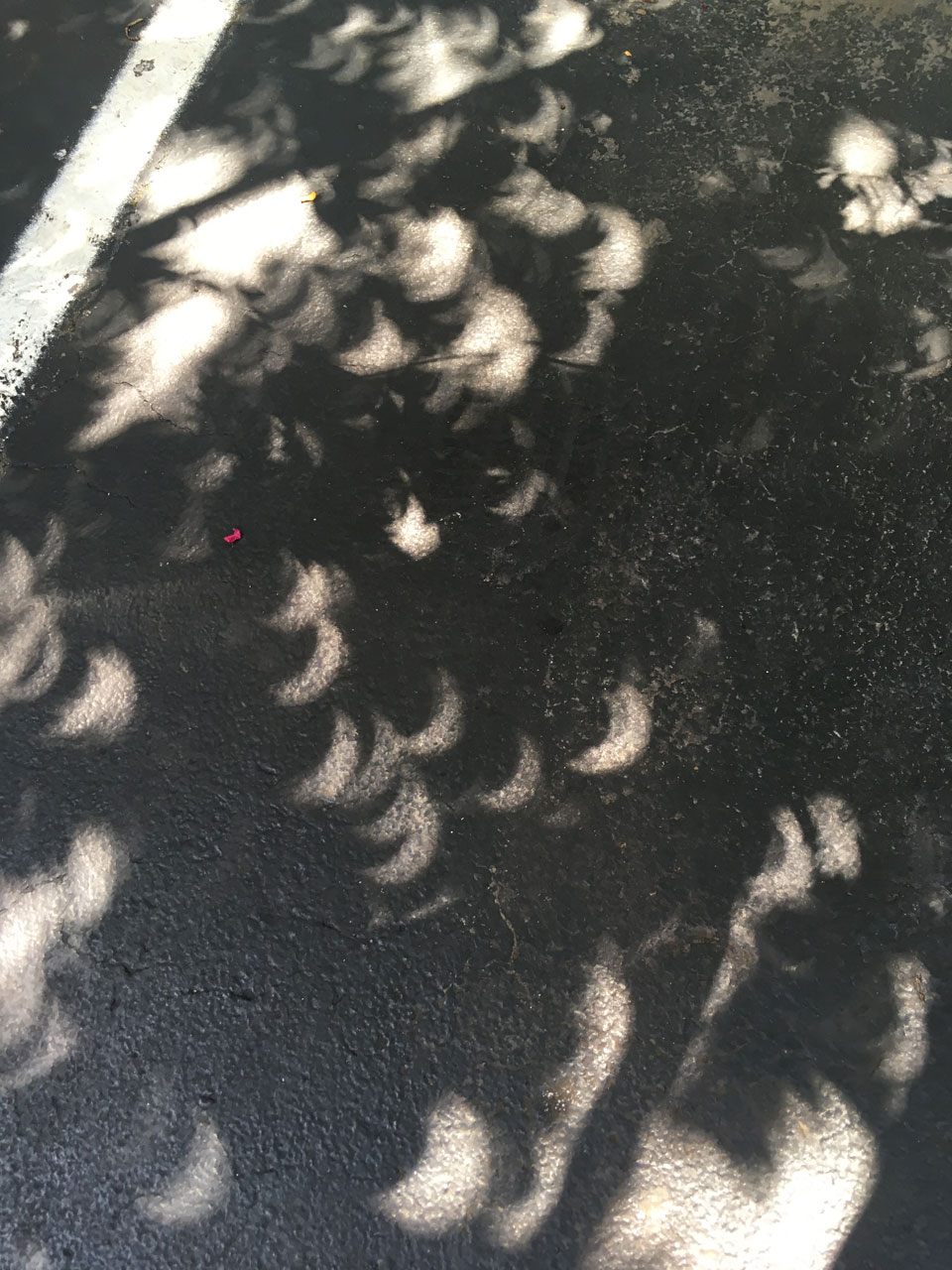 crescents-eclipse